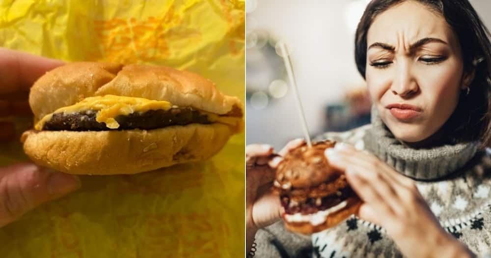 Burger, woman, five, old, moldy, bad, eat, edible, food, junk, cheese, burger, gherkins, tomato