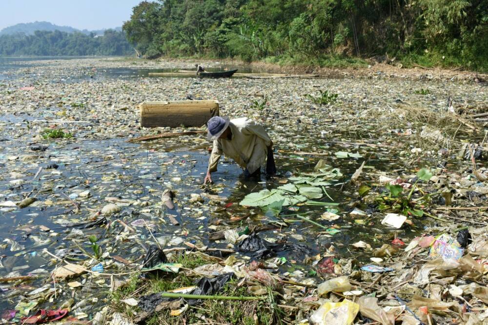 Millions of tonnes of plastic produced every year, largely from fossil fuels, make their way into the environment