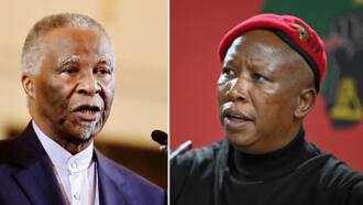 Thabo Mbeki slams Julius Malema's claims that he's working with Arthur Fraser to take down Cyril Ramaphosa