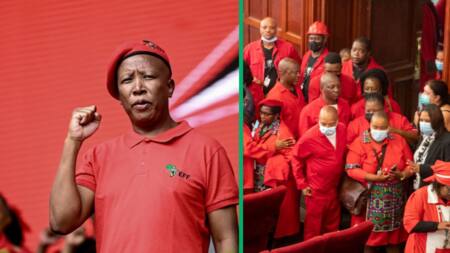 Economic Freedom Fighter's Julius Malema questions why 11 MPs did not vote during impeachment