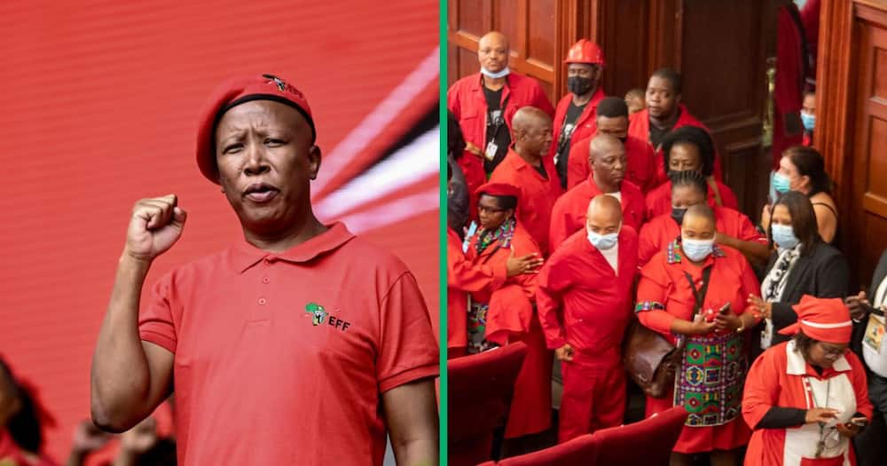 Julis Malema questioned why some EFF members did not attend the John Hlophe impeachment vote