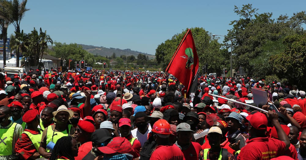 Economic Freedom Fighters opt-out of celebrating yet another holiday