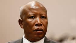 Julius Malema and EFF demand SA Government addresses rise in CIT heists