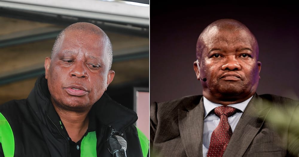 Herman Mashaba, Bantu Holomisa, DA, Coalition, Fail, Funny, Video, Hilarious