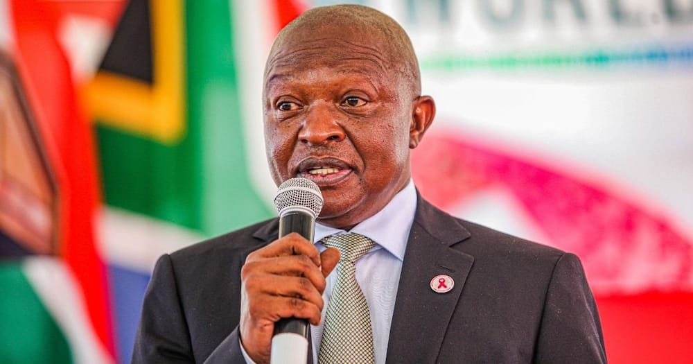 Deputy President, David Mabuza, mandatory covid-19, vaccines, crossing the line, South Africa, national assembly