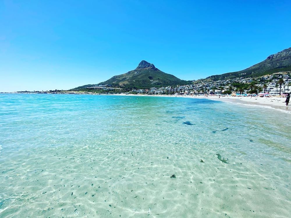 Top 10 best beaches in South Africa you need to visit with your family