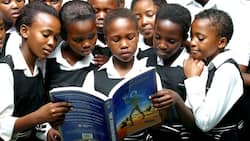 South African pupils’ reading scores decline, landing SA in last place behind 57 countries in global test