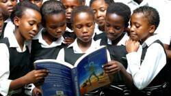 South African pupils’ reading scores decline, landing SA in last place behind 57 countries in global test