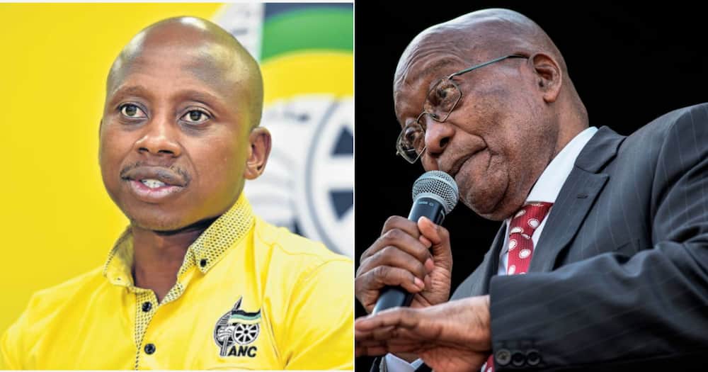 Pro-Jacob Zuma, Supporter, Ex-councillor, Andile Lungisa Suspended, ANC, African National Congress, National disciplinary committee, Eastern Cape, Nelson Mandela Bay