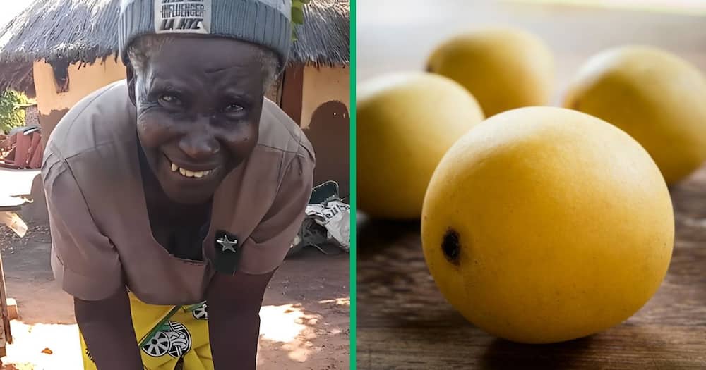 A ZCC gogo was captured in a TikTok video traditionally mixing marula fruit.