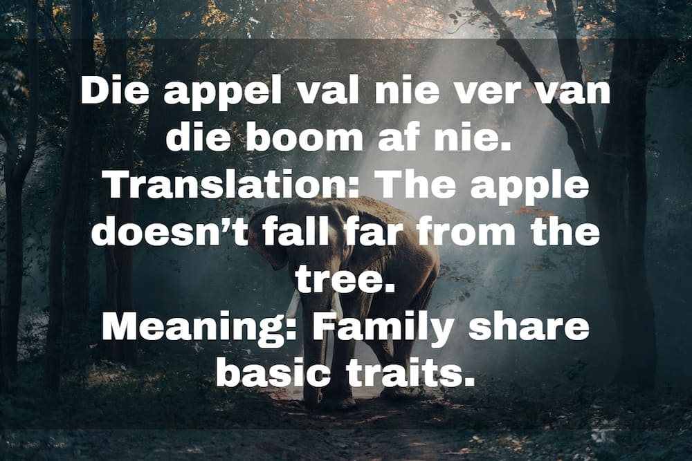 Afrikaans idiome Afrikaans idiome