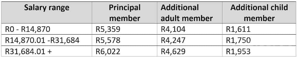 GEMS Medical Aid schemes: Get a detailed overview for 2023 - Briefly.co.za