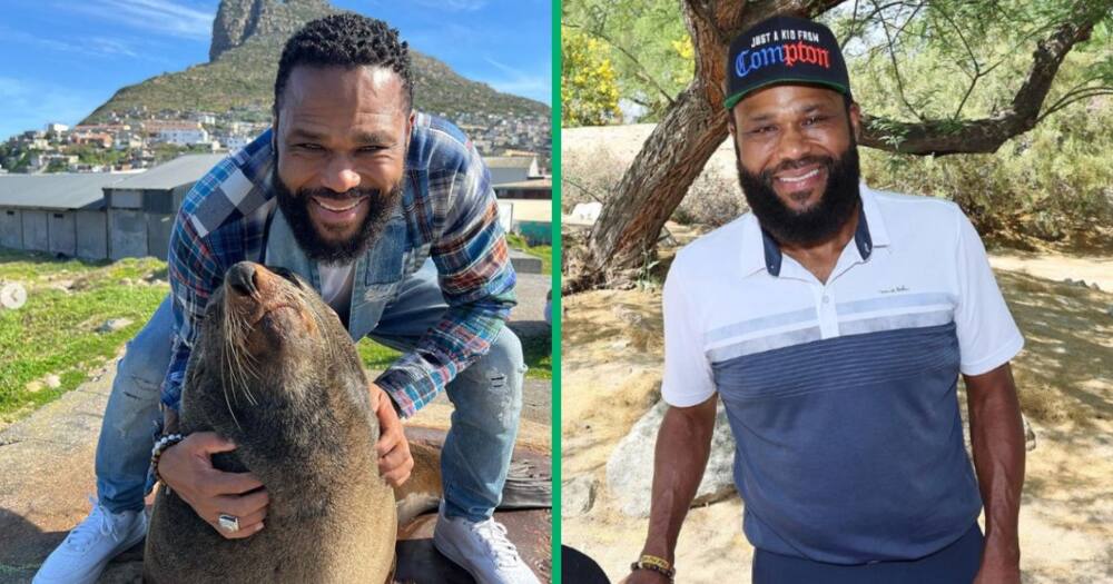Mzansi appreciated Anthony Anderson for visiting CPT.
