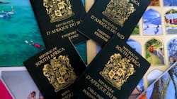 Best ideas on passport renewal in South Africa in 2022