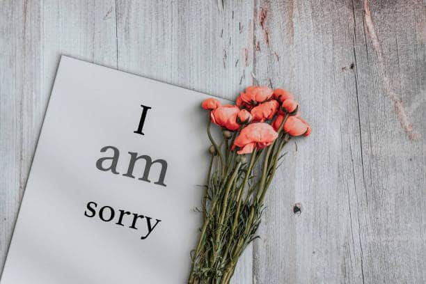 How do you apologize for deeply hurting someone?