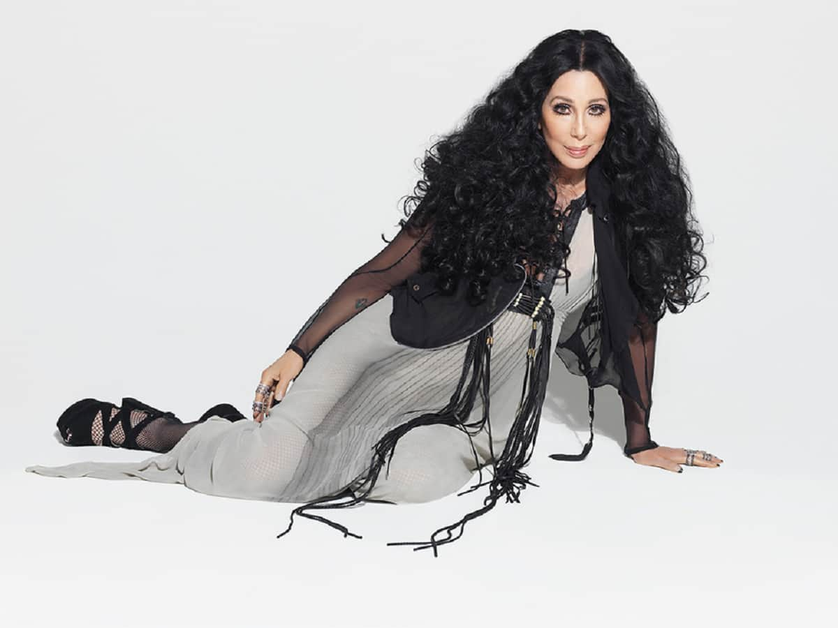 Cher Fakes