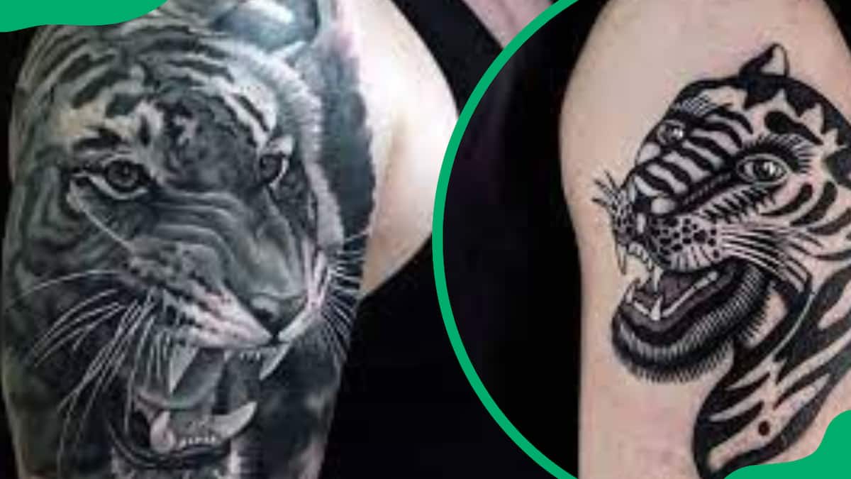 neotraditional tiger black tattoo | Tiger tattoo images, Tiger tattoo, Tiger  tattoo sleeve