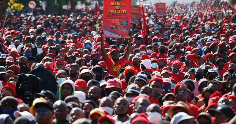EFF plan picket outside Public Protector office