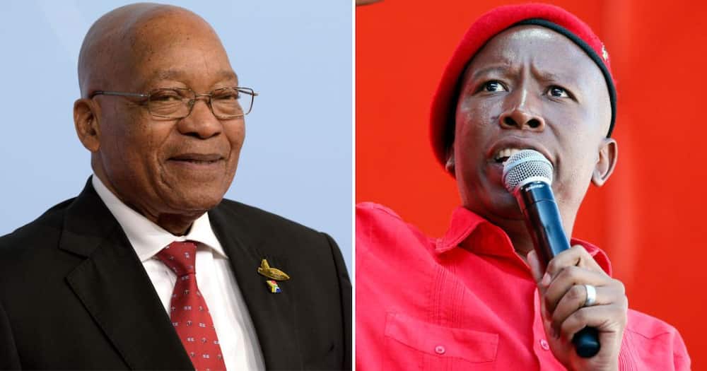 Malema said he hopes Zuma will join the EFF as a member