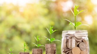 low investment business ideas in south africa low investment business ideas in south africa