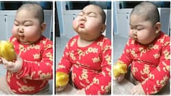 "What's going on here?" Cute baby with chubby cheeks eats fruit aggressively, video goes viral on TikTok