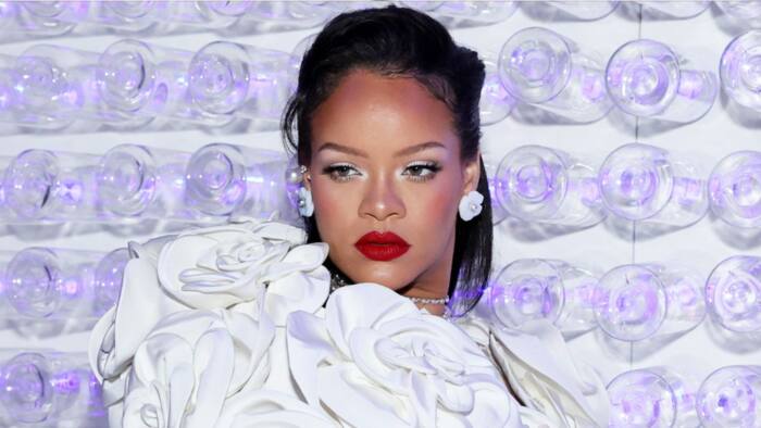 Rihanna poses in new family picture, gets dragged over messy wig: "She's going through it"
