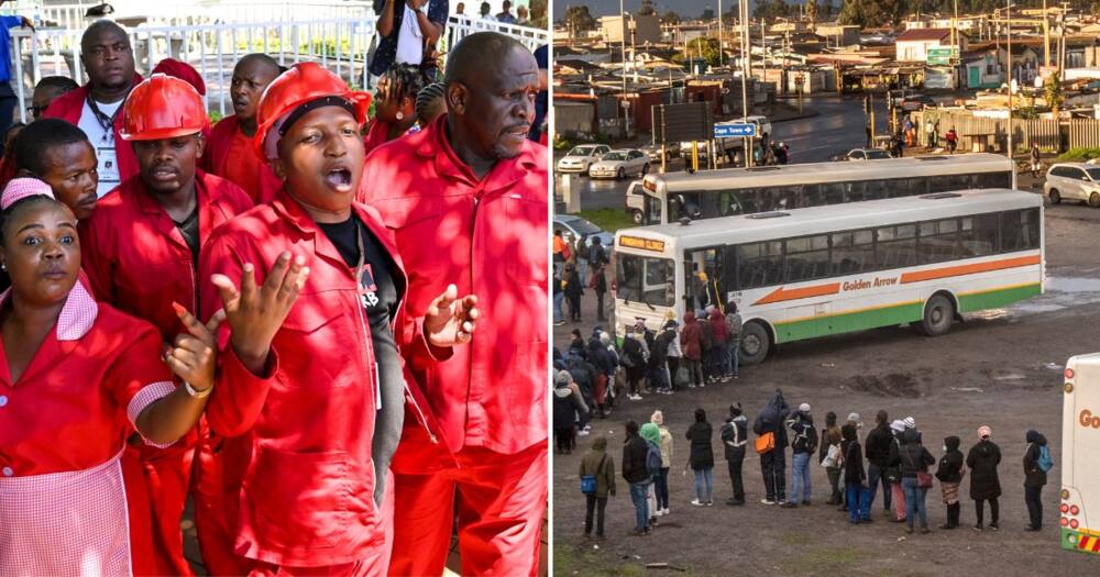 Putco's bus services will run as normal during the EFF's national shutdown