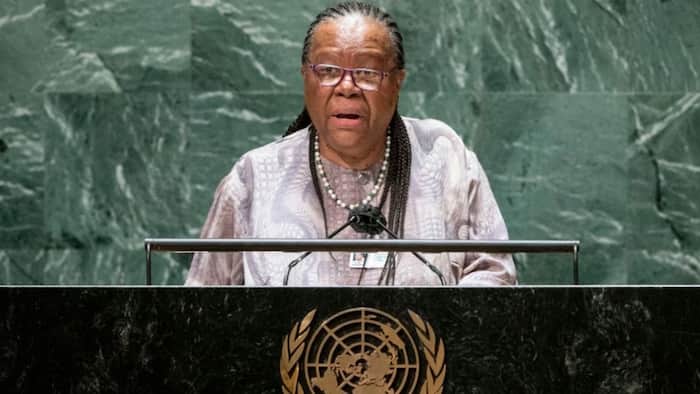 SA urges Naledi Pandor to stay out of Russia and Ukraine conflict