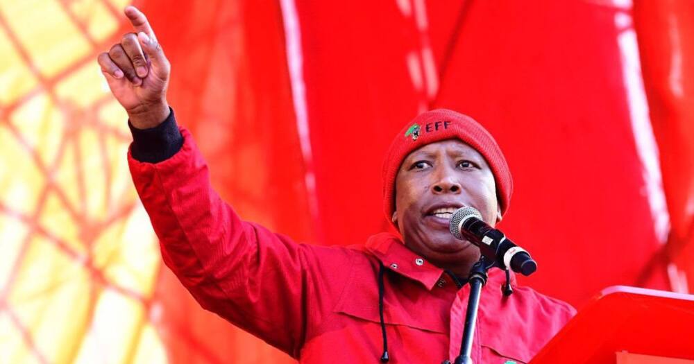EFF, unseat, weak, ANC, Freedom Charter Day, Julius Malema