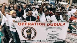 Operation Dudula demands jobs for unemployed young graduates and plans to assist with rebuilding KZN