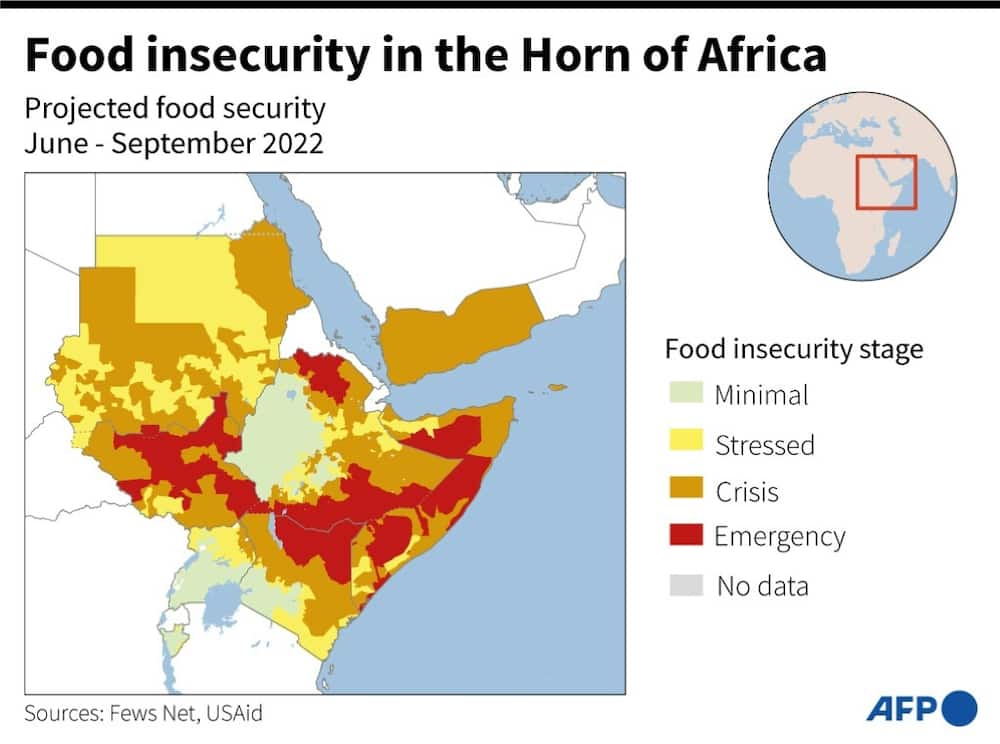 Drought and hunger in the Horn of Africa