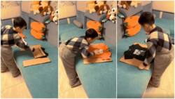 Kid folds his shirts smoothly using cardboard in viral video, his speed amazes many online
