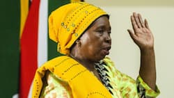 Nkosazana Dlamini-Zuma bows out of Parliament, citizens speculate
