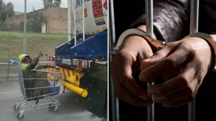Gauteng Traffic Police launch investigation into "trolley hitchhiker" who caught a ride on a truck, SA reacts