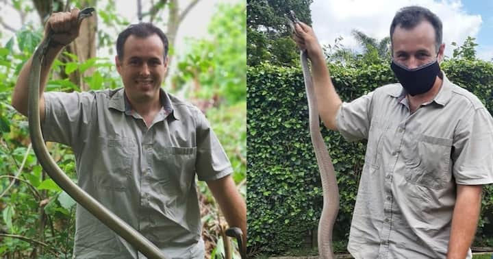 Meet Nick Evans: Snake Rescuer with a Passion for Slithering Serpents ...