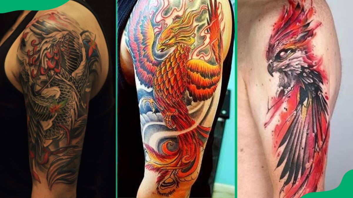 Phoenix Tattoo by Adam Sky, Rose Gold's Tattoo, San Francisco, California :  r/tattoos