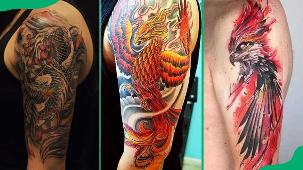 Half sleeve phoenix tattoos