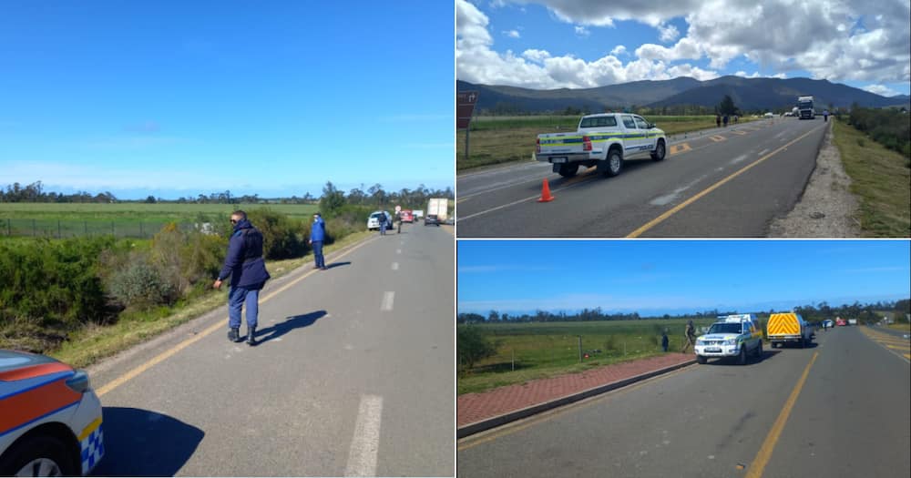 Robbery, Plettenberg Bay, SAPS, Social media reactions