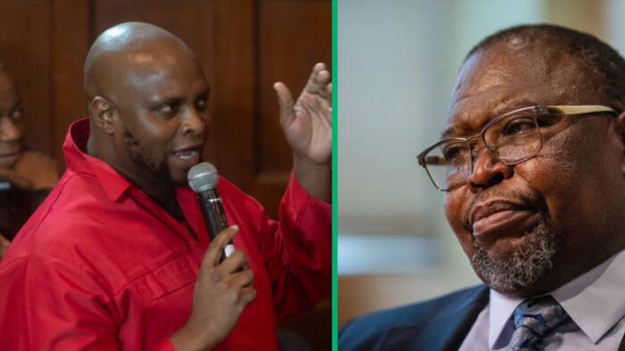 EFF slams Finance Minister Godongwana's 'irrational' budget cuts in MTBPS