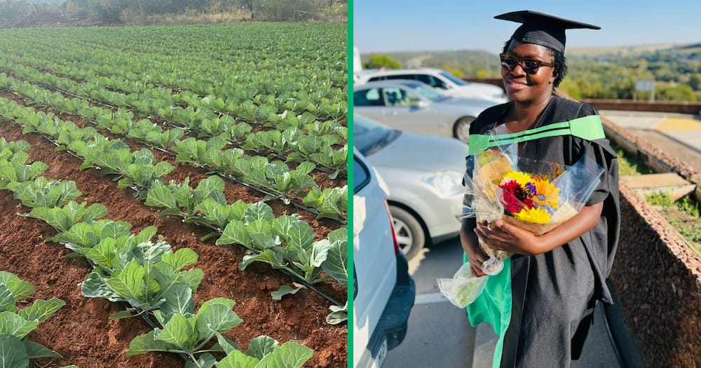 The North West woman is a vegetable farmer but also has a degree in accounting from Unisa