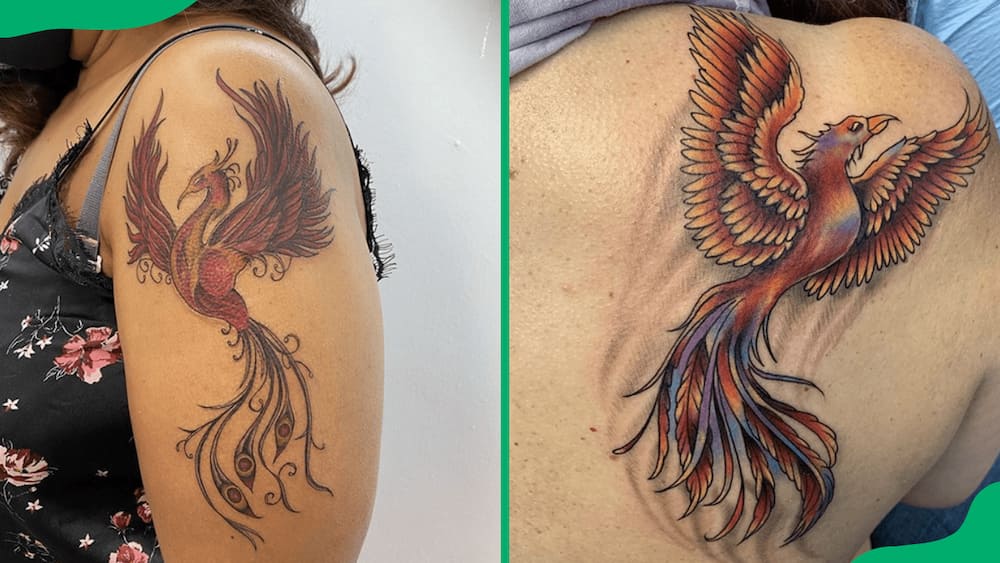Rising phoenix tattoos