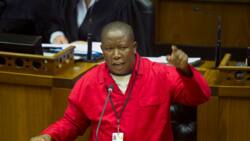 EFF leader Julius Malema pushes for Parliament to move from Cape Town to Tshwane