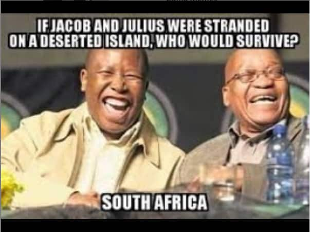 Zuma memes