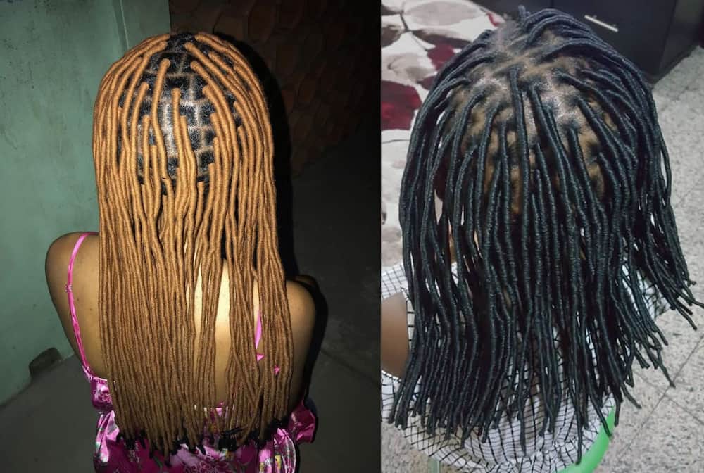 Brown ombre locs
