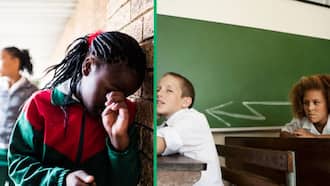 Educational psychologist Professor Kobus Maree discusses solutions for violence in schools