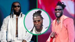 Burna Boy's concert allegedly postponed due to low ticket sales, SA reacts: "FNB Stadium is for Mufasa"