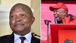 Julius Malema encourages David Mabuza to jump ship and join EFF’s national shutdown, says ANC doesn’t want him