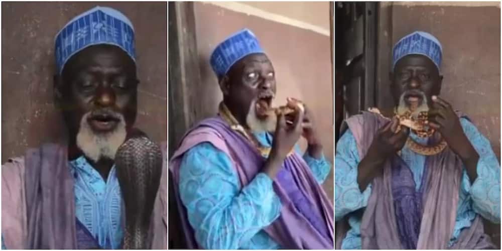 71-Year-Old Snake Charmer Wows Crowds In Lagos