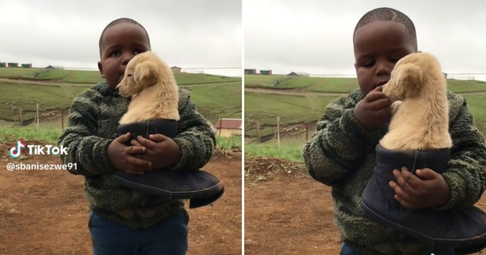 A video of a young boy keeping his puppy warm in Ugg shoe got 2.3M views