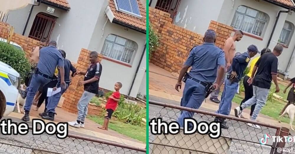 An aggressive dog tried to attack two SAPS officers